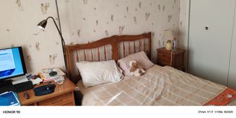Photo n°4