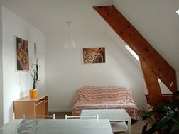 Photo n°3
