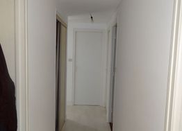 Photo n°6