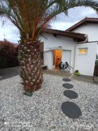 Photo n°1