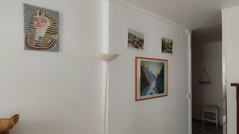 Photo n°6