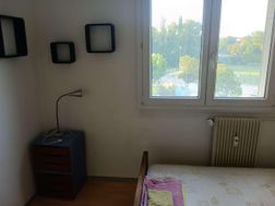 Photo n°6