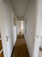 Photo n°6