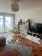 Photo n°4