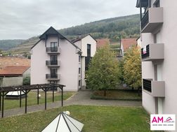 Photo n°6