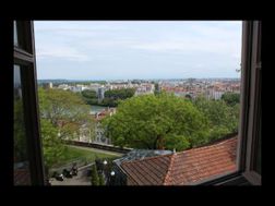 Photo n°2
