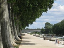 Photo n°8