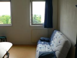 Photo n°2