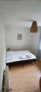 Photo n°4
