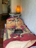 Photo n°3