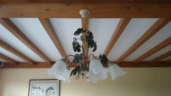 Photo n°1