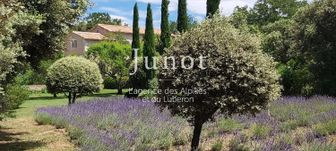 Photo n°1