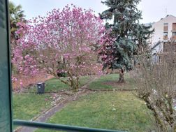 Photo n°4