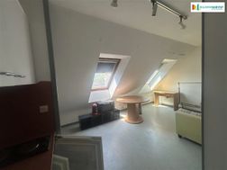 Photo n°6