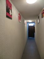 Photo n°8