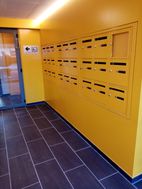 Photo n°4