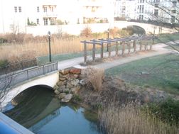 Photo n°3