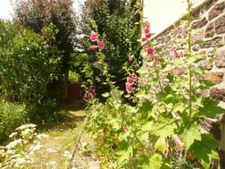 Photo n°3
