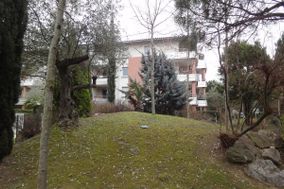 Photo n°1
