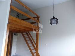 Photo n°4