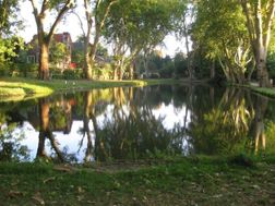 Photo n°7