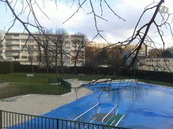 Photo n°9