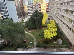 Photo n°6