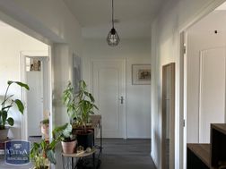 Photo n°4