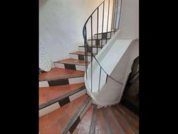 Photo n°6