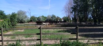 Photo n°8