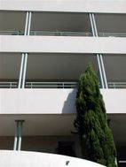 Photo n°4