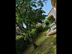Photo n°4