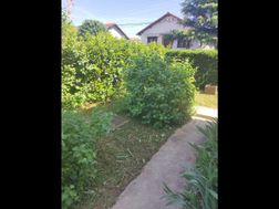 Photo n°21