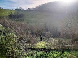 Photo n°3