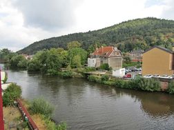 Photo n°11