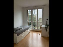 Photo n°6