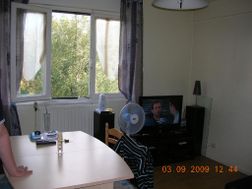 Photo n°1