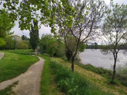 Photo n°1