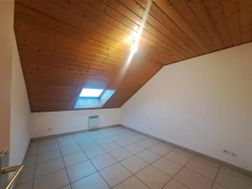 Photo n°4