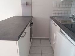 Photo n°4