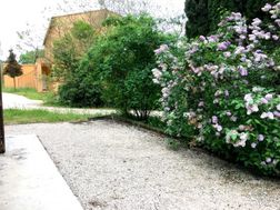 Photo n°6
