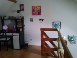 Photo n°1