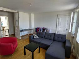 Photo n°4