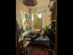 Photo n°14