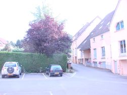 Photo n°1