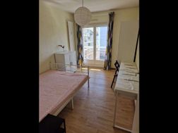 Photo n°2