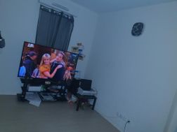 Photo n°1