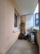 Photo n°6