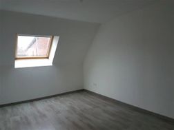 Photo n°4