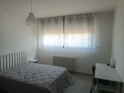 Photo n°2